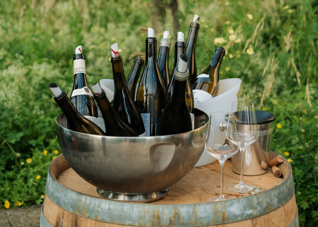 Volná degustace vín z Côtes du Rhône 19. března 2026