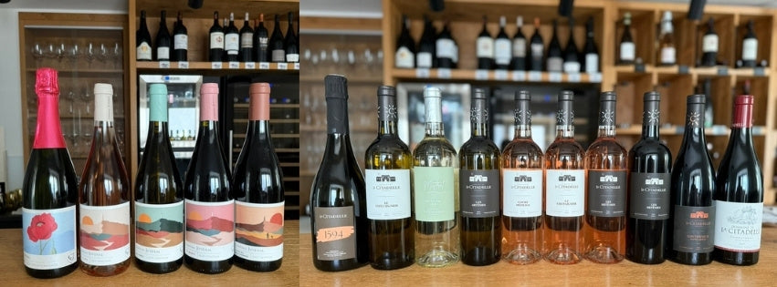 Côtes du Rhône 2025 – degustace nových ročníků