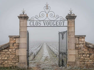 Burgundsko - Côte de Nuits